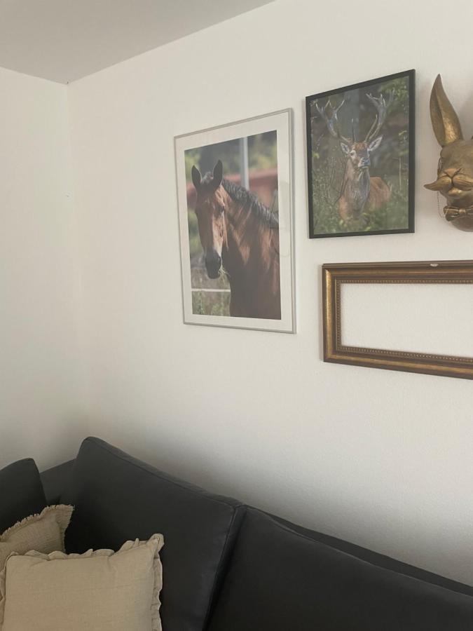 Luises Ferienglueck Lejlighed Vernawahlshausen Eksteriør billede